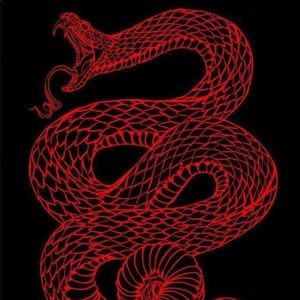 Meet your Posher, Shauna